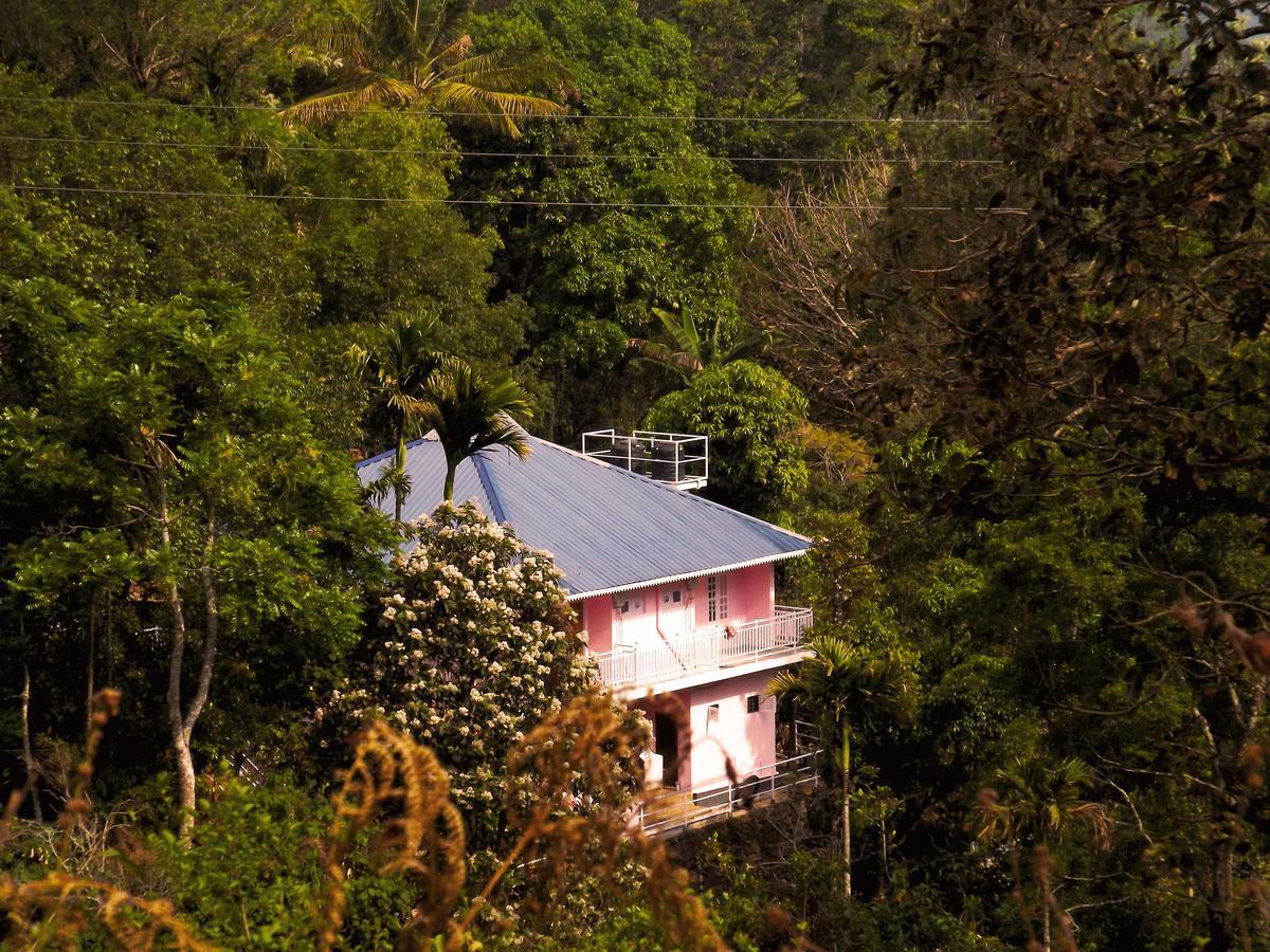 Drizzle Valley Cottage Munnar Eksteriør bilde